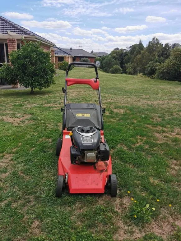 Large back lawn freshly mowed on the North Shore, Auckland