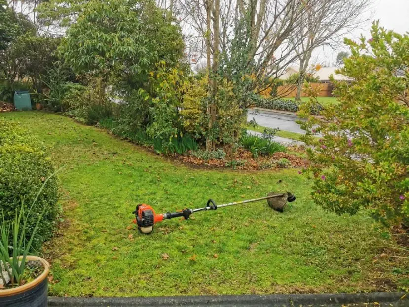 Line trimmer resting on a lawn beside garden beds and shrubs on the North Shore, Auckland
