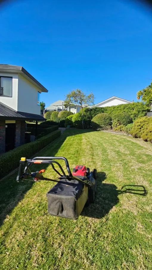 Striped back lawn with clipped hedges and shrubs on a sunny day in Forrest Hill, Auckland