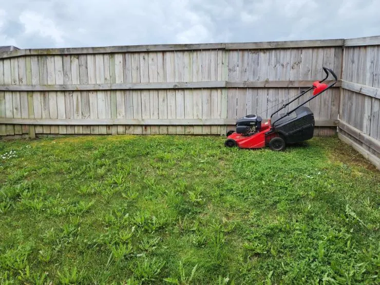 Overgrown back lawn against a timber fence before a clean-up in Forrest Hill
